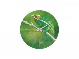 Часы настенные Nicole Time NT503 в Верх-Ирмени - verh-irmen.mebel-nsk.ru | фото